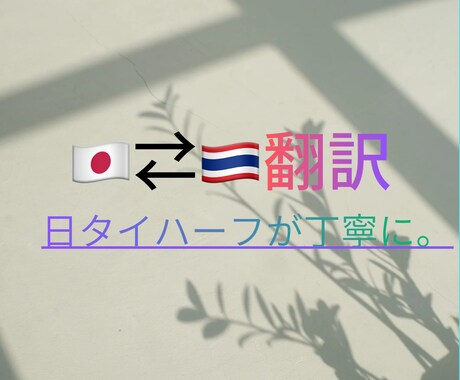 日タイ翻訳｜LINE・日常会話を自然に翻訳します 日タイハーフが 日常会話レベルの通訳致します！ イメージ1