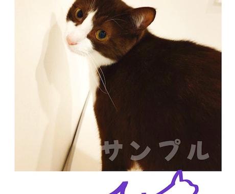 ペットのサイン制作します 〜写真にサインを書き込んでプレゼント〜爬虫類も大歓迎 イメージ2