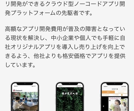 iOS/Androidアプリ開発を承ります 画面のデザインからAppStore公開迄を最短3日で即納可能 イメージ2