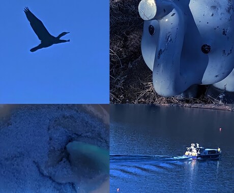 綺麗で雰囲気のある4枚写真を制作します 綺麗なものが好きな方、雰囲気のある写真が好きな方など向け イメージ2