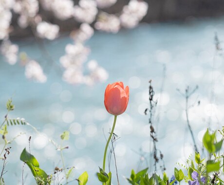 お話し聞きます 他人だから話せることってありますよね イメージ1