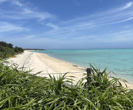 月額/沖縄の所有物件等の定期状態チェックします 沖縄の空き家・民泊・賃貸物件の定期状態チェックします イメージ1
