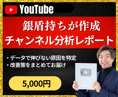 YouTubeチャンネル診断レポートを作成します データで伸びない原因を特定。改善策をお届け イメージ1