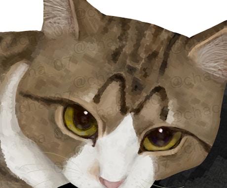 大切な愛猫の似顔絵をリアルタッチで描きます イメージ1