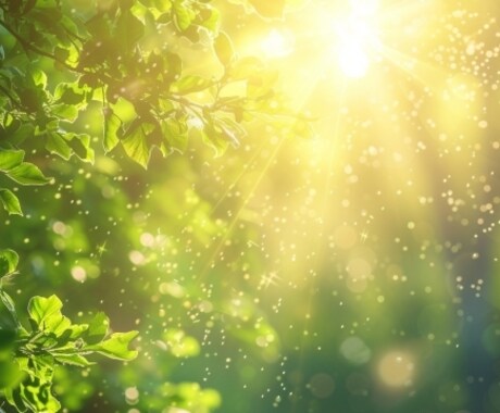 覚醒✨【松果体】を3日間活性化します 直観力/自分軸/やる気がほしい...そんなあなたへ イメージ1