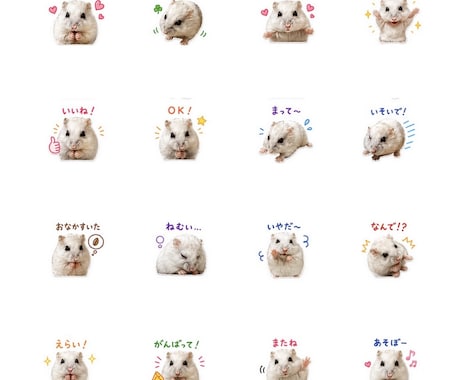 ペットや家族のLINEスタンプ作成します 写真からかわいいスタンプを作ります イメージ2