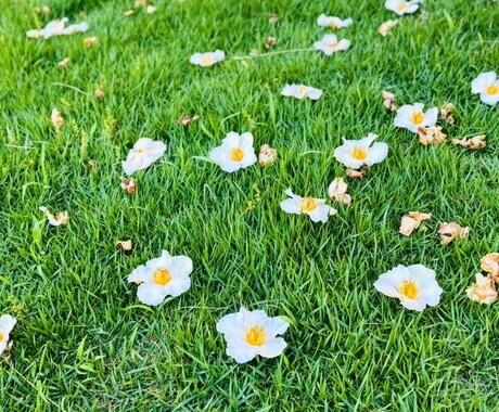しんどい気持ち、チャットでゆっくり聞きます うまく話せなくても大丈夫今の気持ち、そのままで受け止めます イメージ1