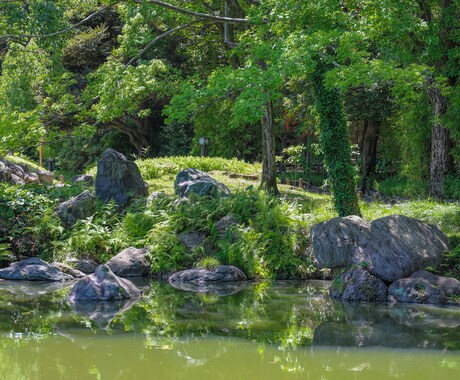 自然の写真を撮ります 癒される自然の写真を撮ります。提供します。 イメージ2