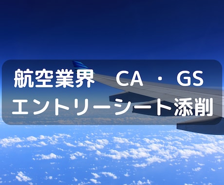 航空業界（CA）（GS）内定！ES添削します このチャンスを逃さない！国内大手エアライン内定実績あり イメージ1