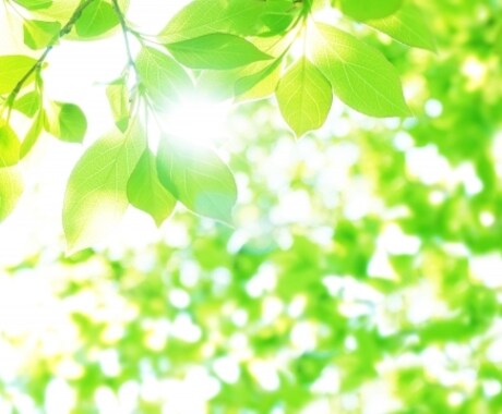 1人で抱え込み、気持ちが辛い…お話相手になります 話したい｜聞いて欲しい｜身近な人に言えない｜愚痴りたいetc イメージ2