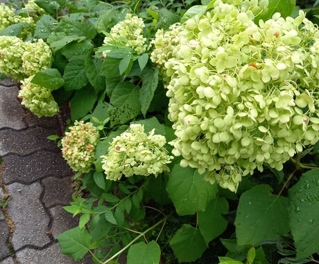 あなたにぴったりの本をおすすめします 本好きがすすめる本はご興味ありますか？ イメージ1