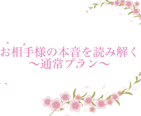 別次元のお相手様の本音、占います お相手様の本音を読み解く、本格タロットプラン イメージ1