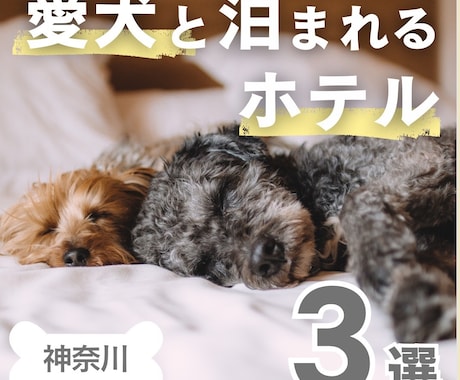 Instagram|インスタ用投稿テンプレ作ります コスパ最強！！先着5名まで特別価格でご提供！ イメージ2