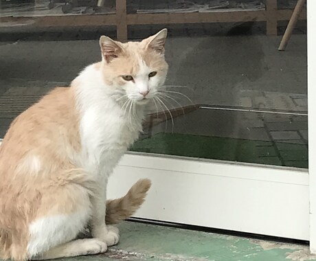 あなたの普通でつまらない話を面白くします ただの日常も角度を変えると面白くなる！ イメージ1