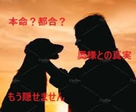 彼の本音を霊感霊視でリーディングします 既婚者の本音と奥様との関係を深く視ます、気持ち、温度感etc イメージ2