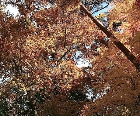 短い時間もok！なんでもお話伺います 歌を聞いてほしい、話を聞いてほしい、なんでもOKです！ イメージ1