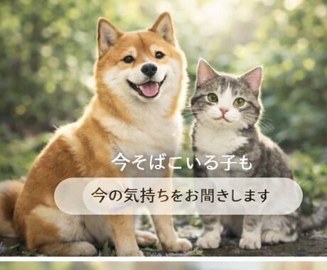 ペットの本音を伝えるアニマル通信致します 行動の理由や本心を丁寧に読み取ります イメージ1