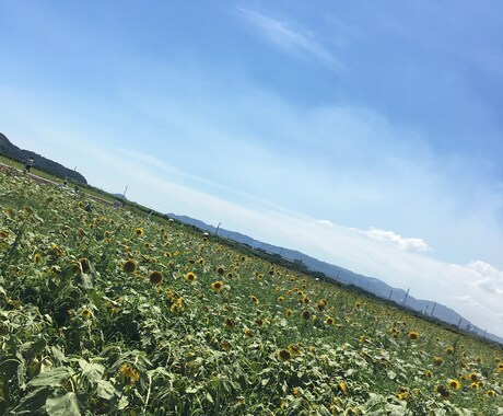 ワンコイン♡心のメンテナンスのお手伝いをいたします 考える毎日に心が疲れてしまったら… イメージ1