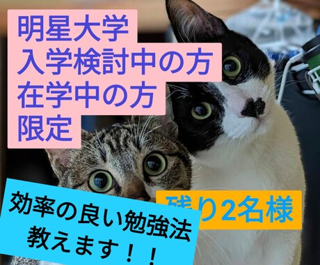 通信大学って、本当に仕事と両立できるの？に答えます 明星大学通信学部へ入学しようか悩んでいる、そこのあなたに！ イメージ1