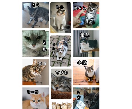 ペット写真でオリジナルシールデザイン作ります ☆お気に入りの写真で世界に一つのシール！ イメージ2