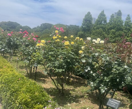 あなたのモヤモヤ受け止めます モヤモヤを誰にも言えない優しいあなたの味方になります！ イメージ1