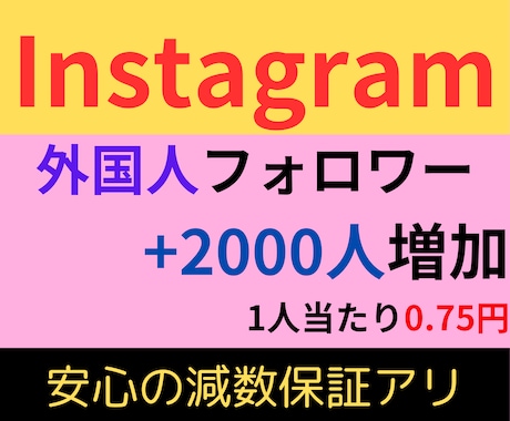 Instagram外国人フォロワー増やします 多国籍のフォロワーを2000人増やします！ イメージ1