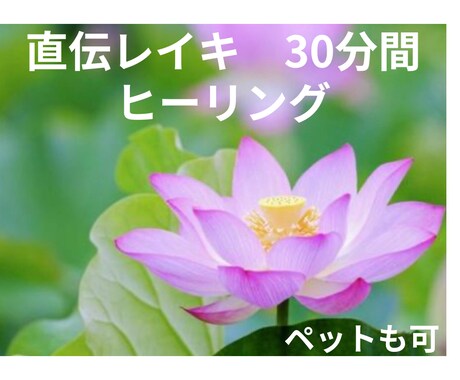 直伝レイキ⭐︎遠隔ヒーリング30分します 癒しの波動を送ります⭐︎心と体を整えます⭐︎ペットも可 イメージ1