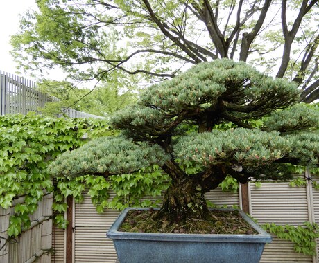 風景写真の構図お教えします 風景写真の構図ならおまかせください！ イメージ2