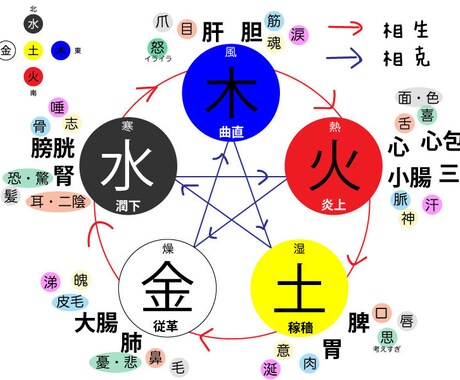 東洋医学の基礎を教えますます 東洋医学講座をビデオチャットで教えます イメージ1