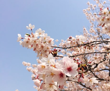 あなたの気持ちにとことん寄り添います 私が誰かの癒しの存在になれたら嬉しいです☆ イメージ1