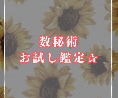 数秘術お試し鑑定します あなたのごく一部のことをお伝えします イメージ1