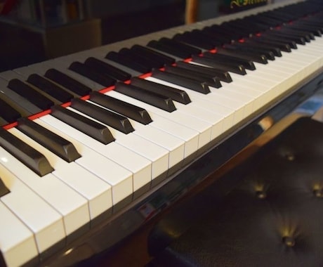 ドレミ・・音符や指番号等を記入します イメージ1