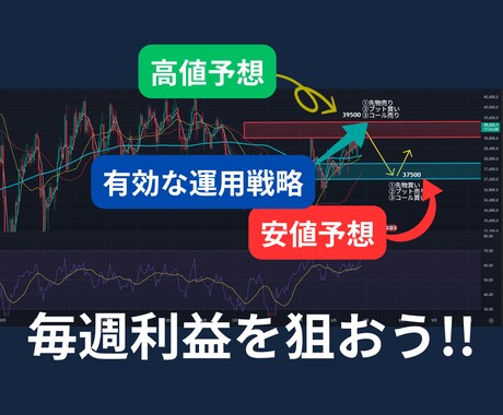 専業投資家が先物オプション取引の基本構造を教えます 一時的ではなく、長く使える投資知識を伝授します！ イメージ2