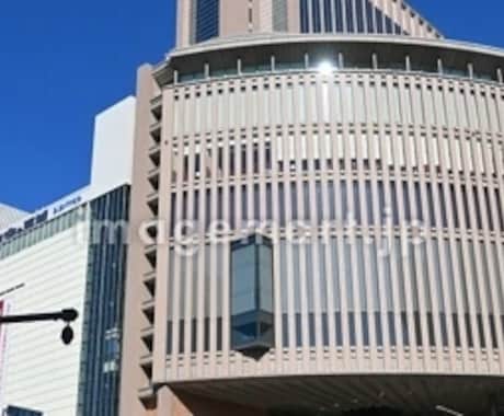 祈祷します。霊感には自信があります 動物タロットで霊感、霊視します イメージ2