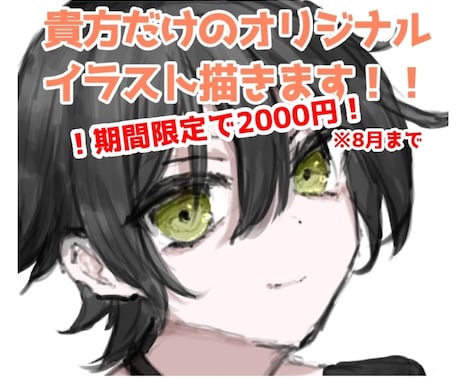イラスト【期間限定2000円(8月まで)】描きます 期間限定2000円！！(8月まで)でイラスト作成します！ イメージ1