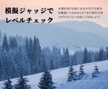バッジテスト、指導員検定模擬ジャッジ致します ボード歴30年・イントラ歴19年、現役検定員がアドバイス イメージ1