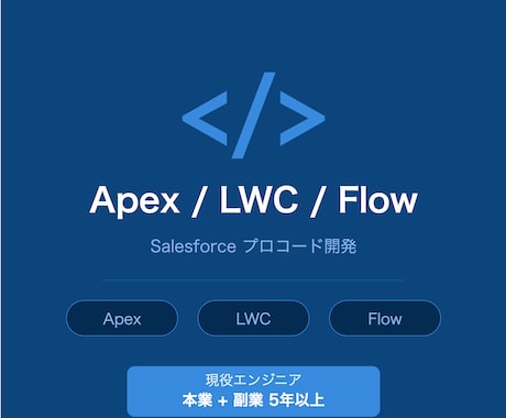 Salesforce｜Apex・フロー開発します SF歴6年（資格6つ）の現役エンジニアが対応いたします！ イメージ1