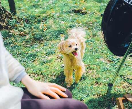 ペットの魅力を最大限に引き出した写真を撮ります 動物好きカメラマンが、とっておきの一枚の一枚を提供します！ イメージ2