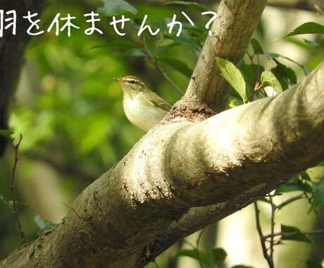 友達、彼氏、旦那、上司部下への愚痴、悩み聞きます 言いたくても言えないそんなモヤモヤ出しちゃいましょう イメージ2