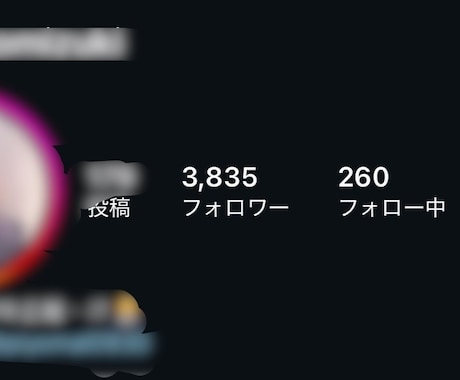 インスタフォロワー最大35,000人増やします あなたのSNSを世界中に発信するお手伝いをさせて頂きます イメージ2