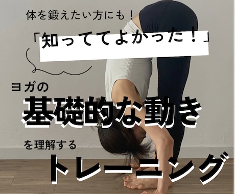 ヨガビギナー向け！基礎的な体の動きを教えます スタジオに行っても戸惑わない、基礎的な動きの理解（4回分） イメージ1
