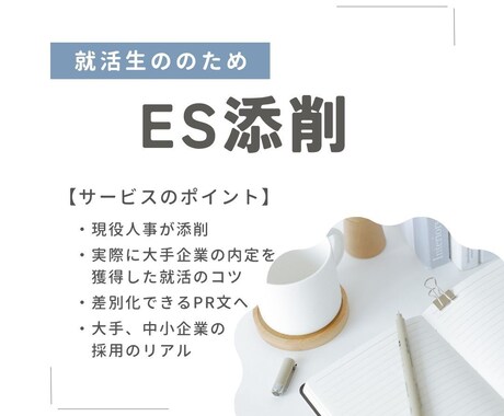 現役新卒採用担当が就職活動をサポートします 採用担当目線のフィードバックで効率的な就活を イメージ1