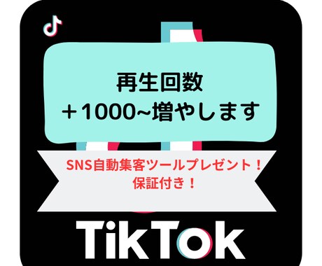 TIKTOK再生回数１０００~増やします SNS自動集客ツールプレゼント！再配布権付 イメージ1