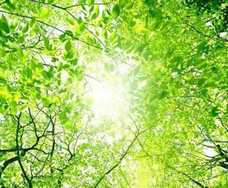 一人で悩まないで！踏み出す一歩をお手伝いします 対人関係、お金、仕事、恋愛や夫婦関係の悩み聴きます。 イメージ2