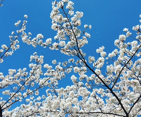 あなたの幸せを願いつつ、未来を占います あの人の気持ち、あの人との未来が気になるあなたへ イメージ1