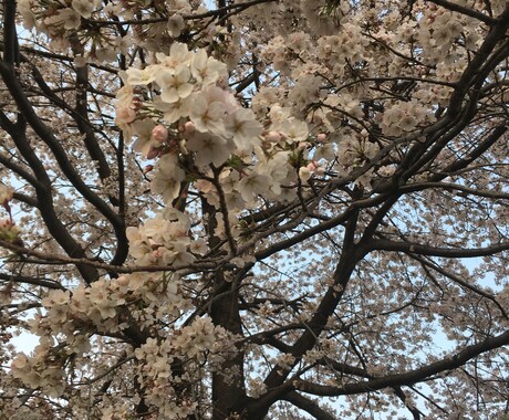あなたの夢聞きます 誰にも話せないはなしを聞きます イメージ2