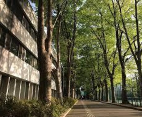 帰国子女の偏差値76高校生が中学の英語を教えます 1回2問まで丁寧に解答解説を作ります。 イメージ1