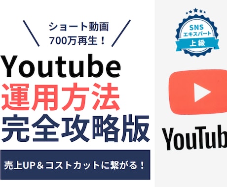 Youtube運用で成功するためのアドバイスします VSEO対策1位Google1ページ目上位表示多数10万人 イメージ1