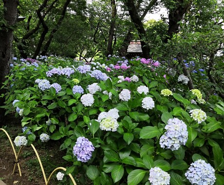 育休中主婦がお悩み（仕事、家庭、恋愛、）を聞きます どんな小さなお悩みでも気軽に話して下さい(^o^) イメージ2