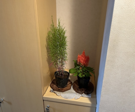 主介護者様としっかりつながります 主に介護されている方と一緒に笑顔になりましょう イメージ1